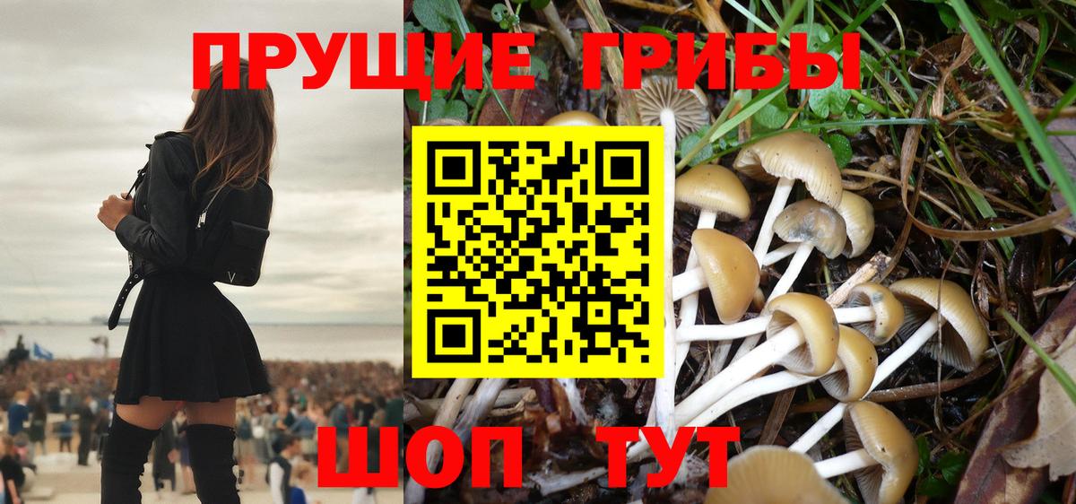 Галлюциногенные грибы Psilocybe  Вход с VPN  Ульяновск 